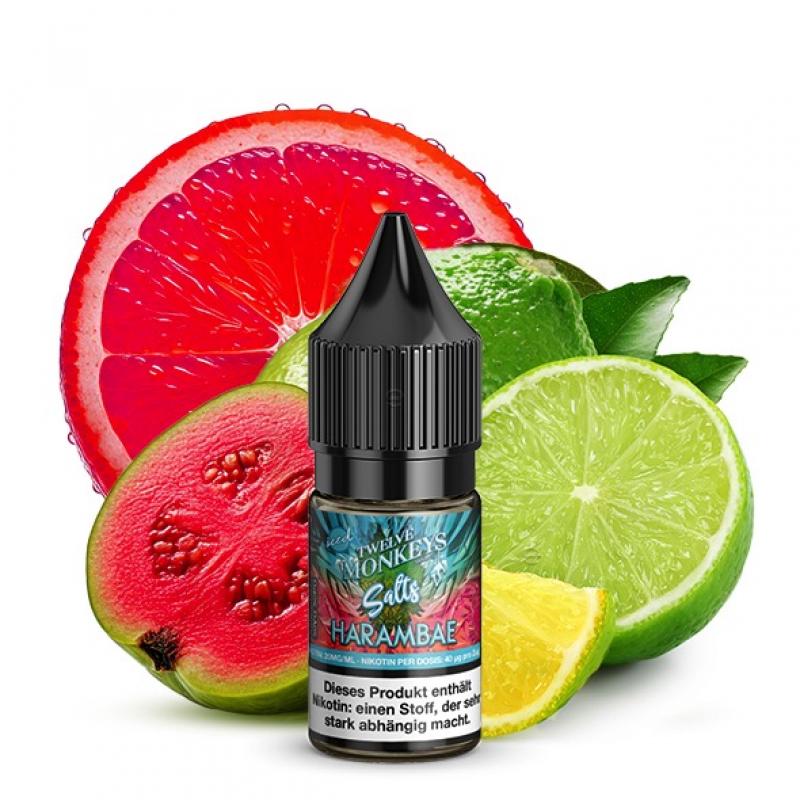 Twelve Monkeys HARAMBAE ICED Nikotinsalz SALT NIC Liquid 20 mg / 10 ml
