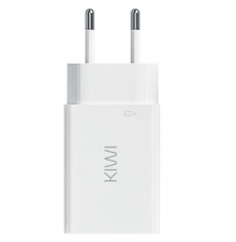 KIWI USB Netzstecker Netzteil für KIWI PEN / POD System - Kopie
