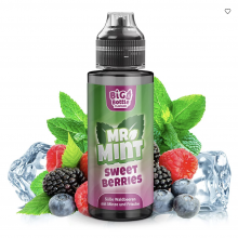 Big Bottle Mr. Mint Sweet Berries Aroma Longfill 10 ml / 120 ml