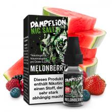 DAMPFLION Intense Melonberry Nikotinsalz Liquid 10 ml / 20 mg