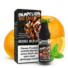 dampflion-intense-orange-menthol-nikotinsalz-liquid-10mg