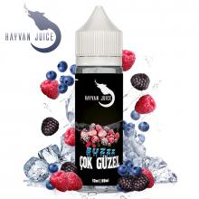 Hayvan Juice Cok Güzel Aroma Longfill
