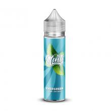 MINTS EVERGREEN Aroma Longfill