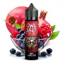 owl-salt-red-berries-aroma-longfill.jpg